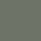 Casual Colored Olive Denim Shorts - FINAL SALE Olive
