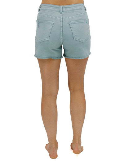 Aqua Casual Colored Denim Shorts back detail