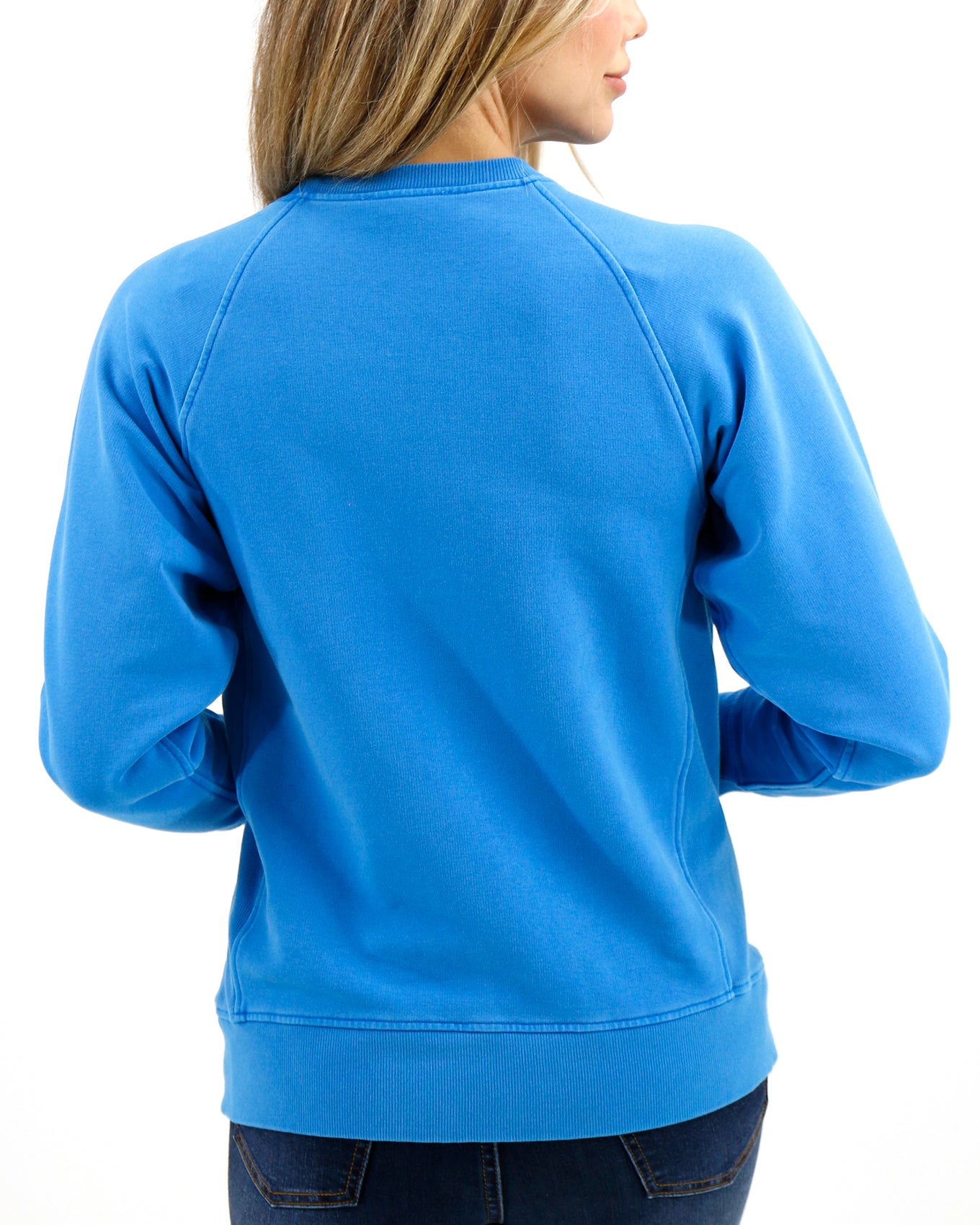 Back stock shot of Vibrant Blue Favorite Washed Pocket Sweatshirt