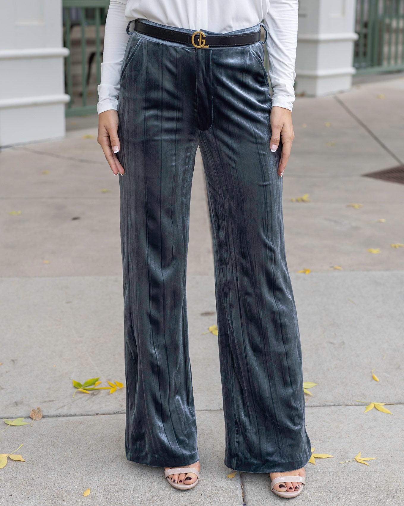 Crinkle Velvet Wide Leg Dress Pants