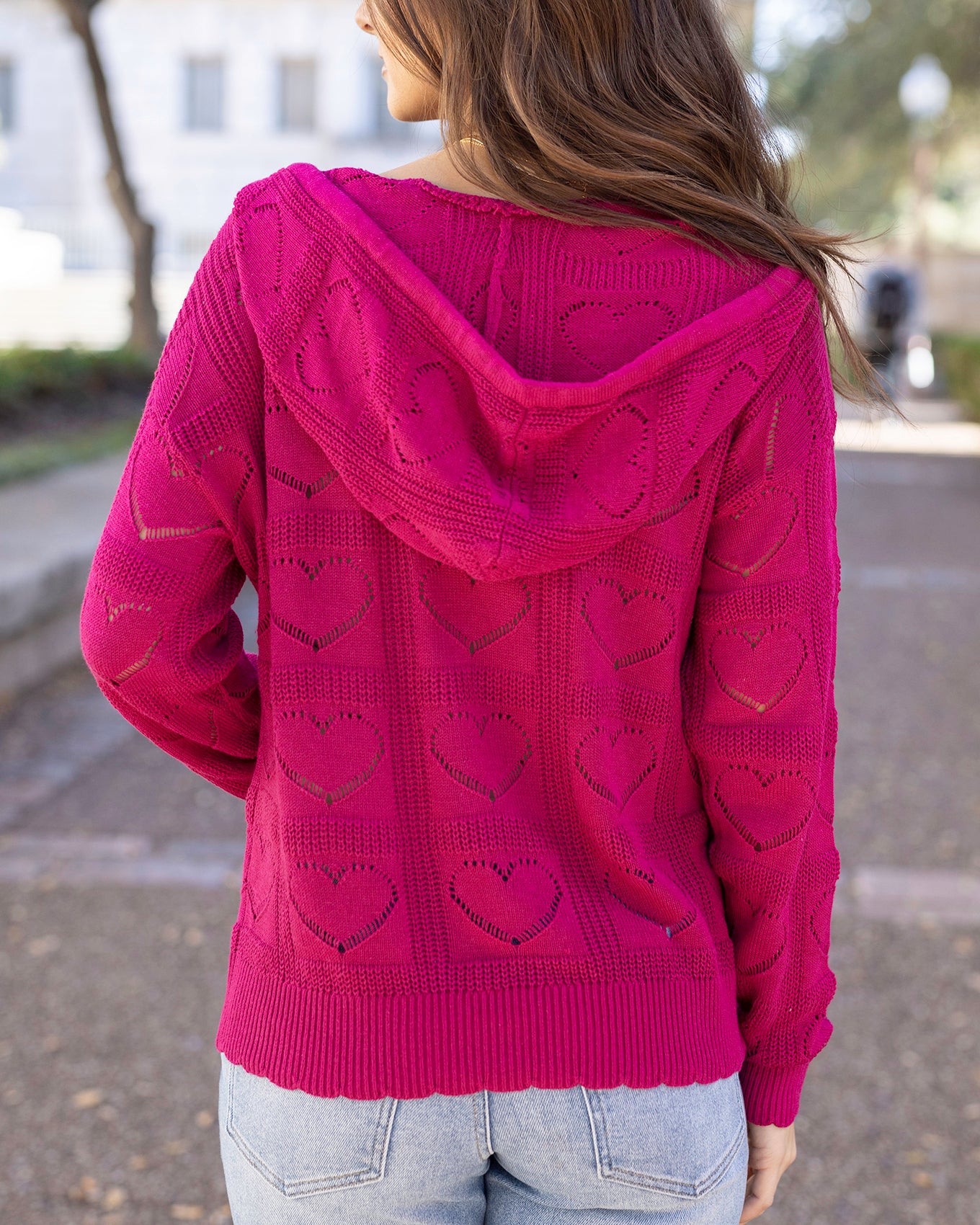 Hooded Heart Pointelle Knit Sweater