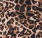  Animal Print