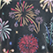 Vintage Fit Any Day Graphic Tee - Fireworks Fireworks