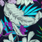 Tropical Floral