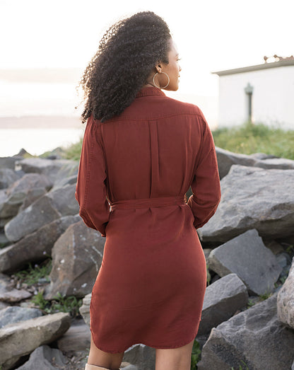 Tencel™ Lyocell Utility Dress in Auburn